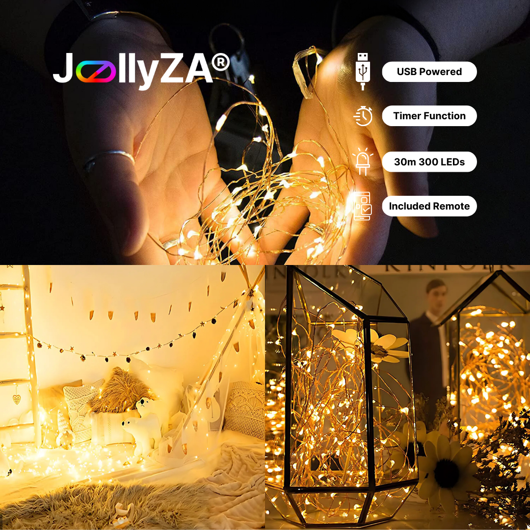 30m USB Copper String Fairy Lights